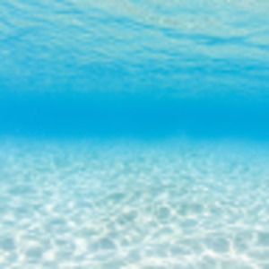 Meet your Posher, Janice